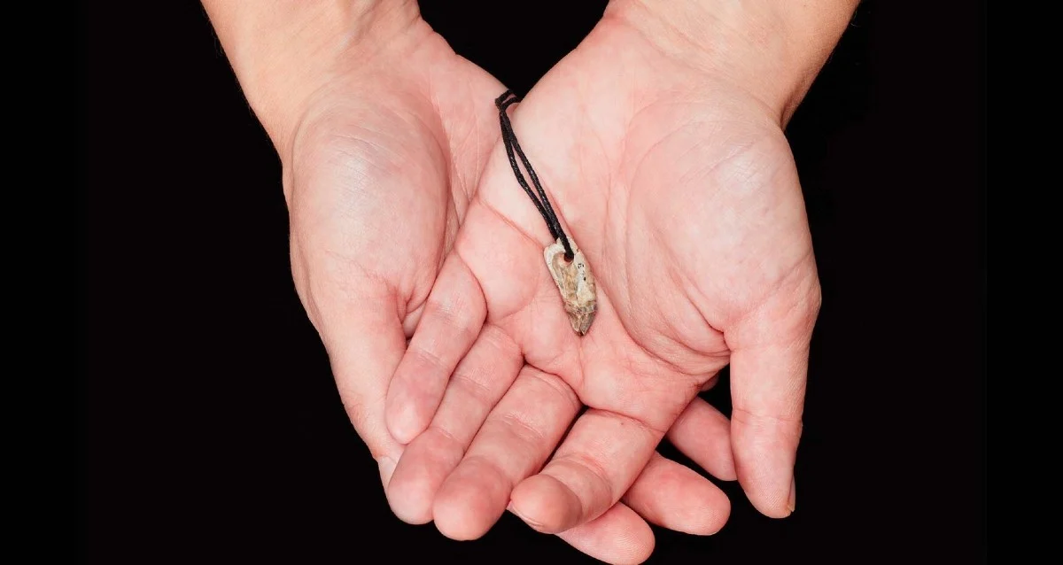 1867'de İngiltere'de Bulunan Kolye Dişinin 15.000 Yıl Önceki Mühendisliği