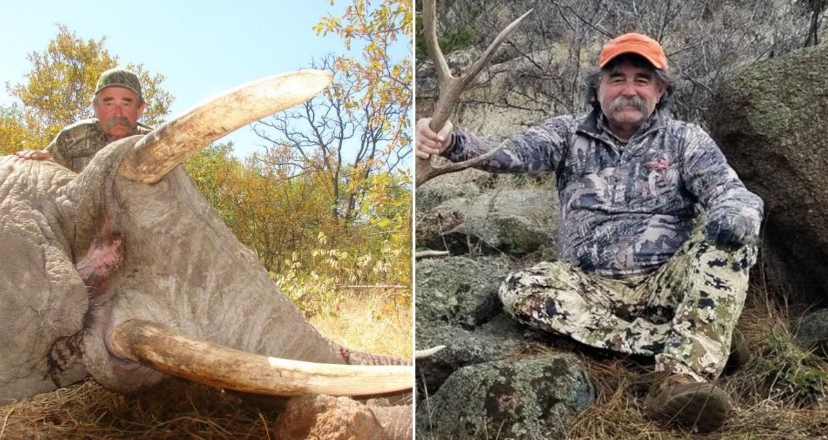 Bir Milyoner Tüfek Avcısı, Orta Afrika'daki 40.000 Dolarlık Av Seyahati Sırasında Bir Fil Tarafından Öldürüldü