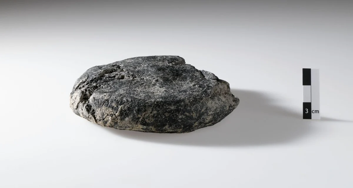 Um Pedaço de Pão da Antiga Roma Encontrado na Construção de Habitação na Suíça