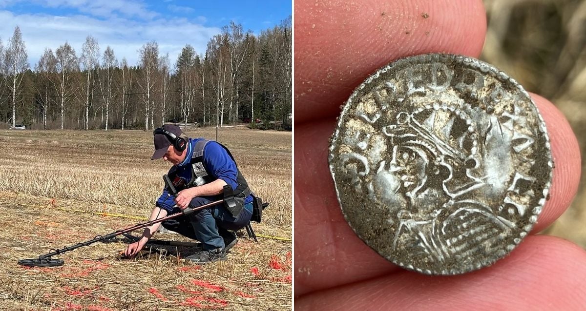 Norveç'te Viking Paralarının En Büyük Hazinesi Bulundu