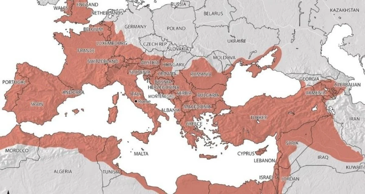 Quão Grande Era o Império Romano? O Tamanho Surpreendente do Antigo Superpoder no Seu Apogeu