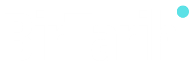 birtarih.com
